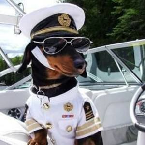 Meet your Posher, Marc